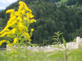 Burgruine Wolkenstein