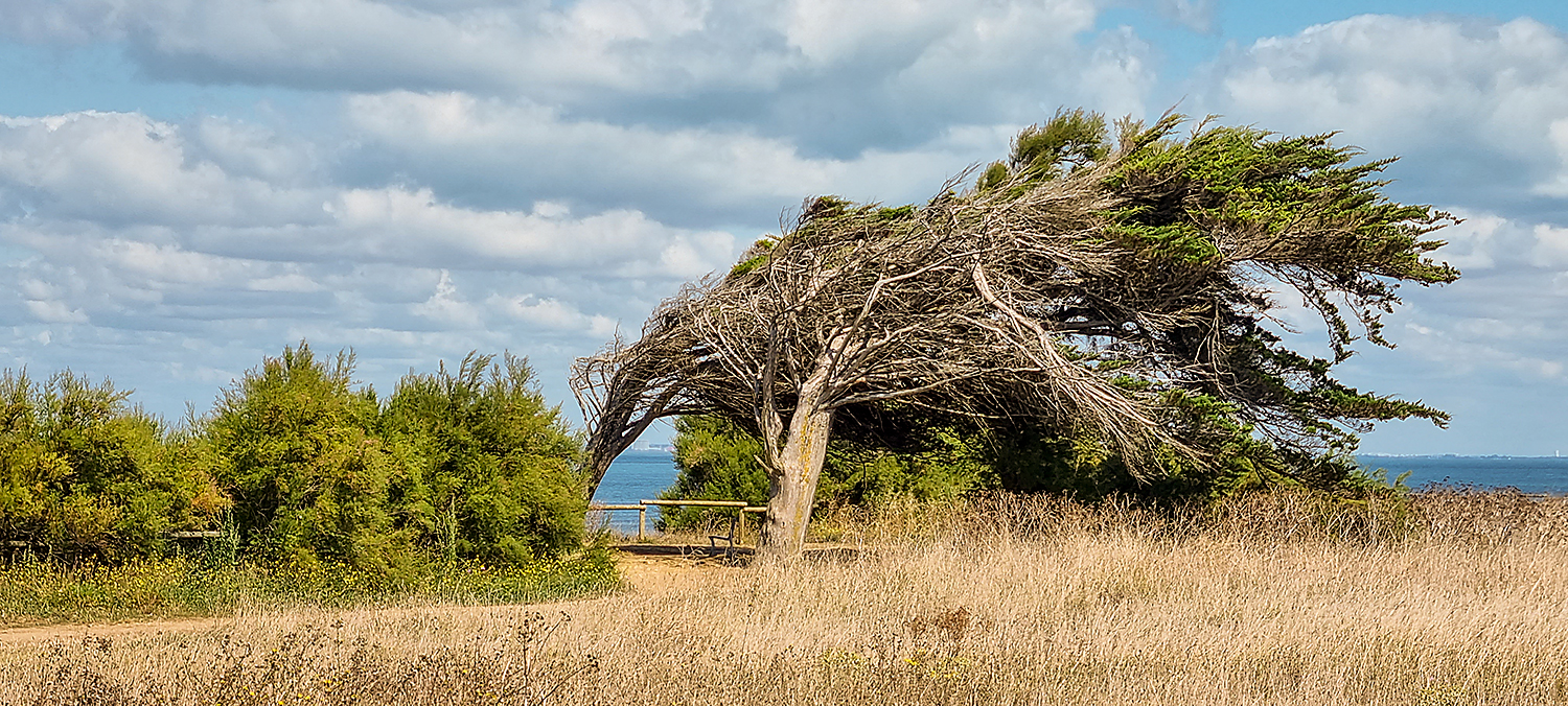 Île d'Oléron