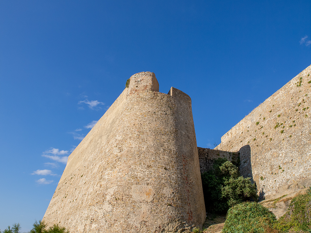 Calvi