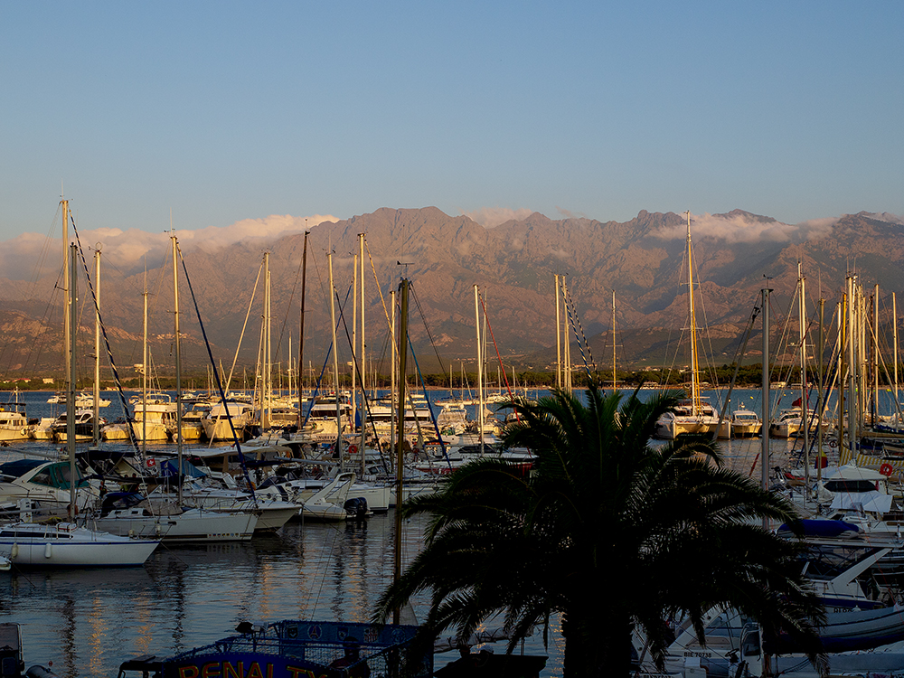 Calvi Port