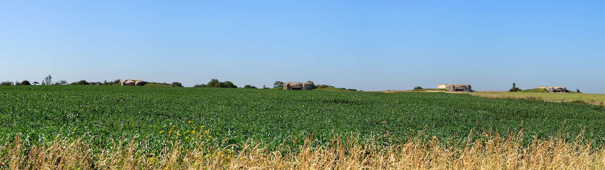 Longues Pano