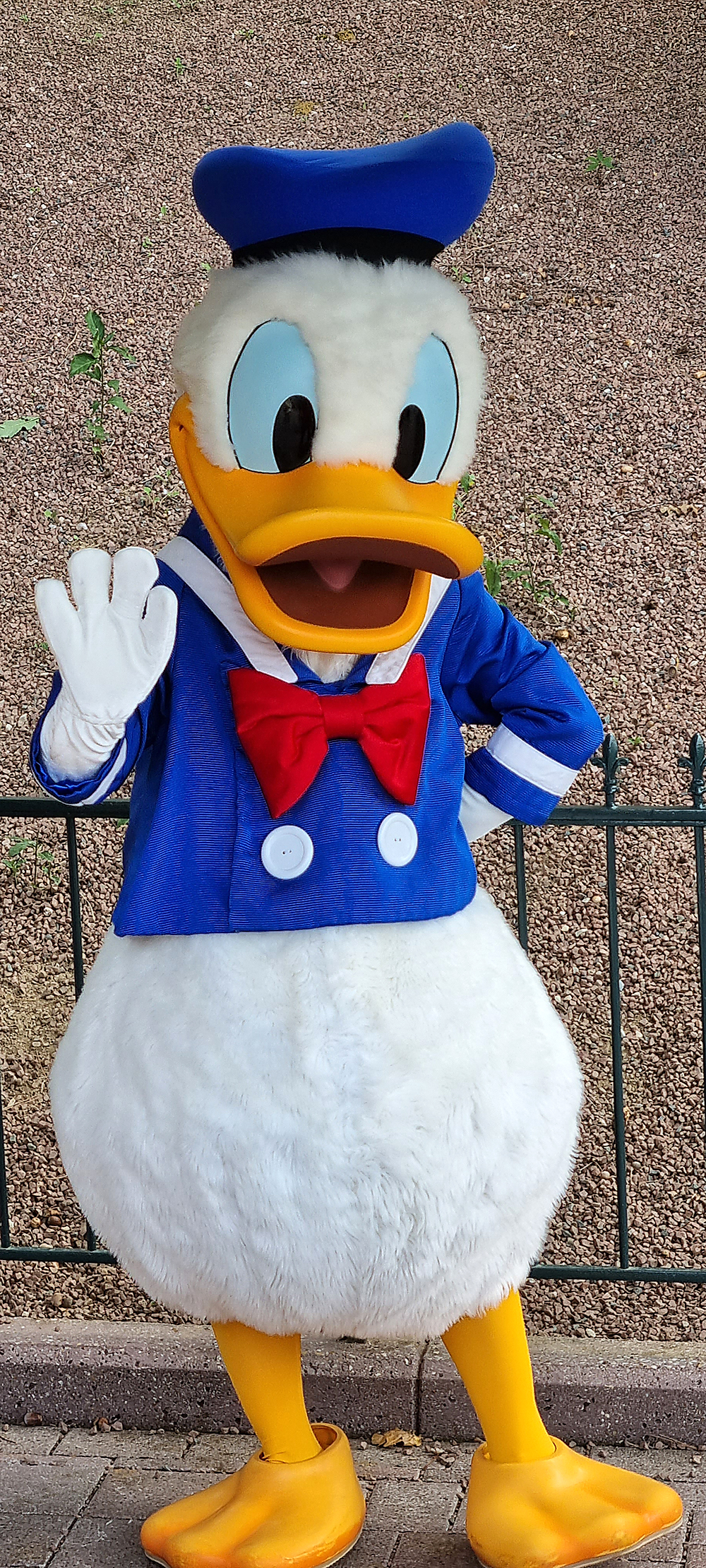 Donald