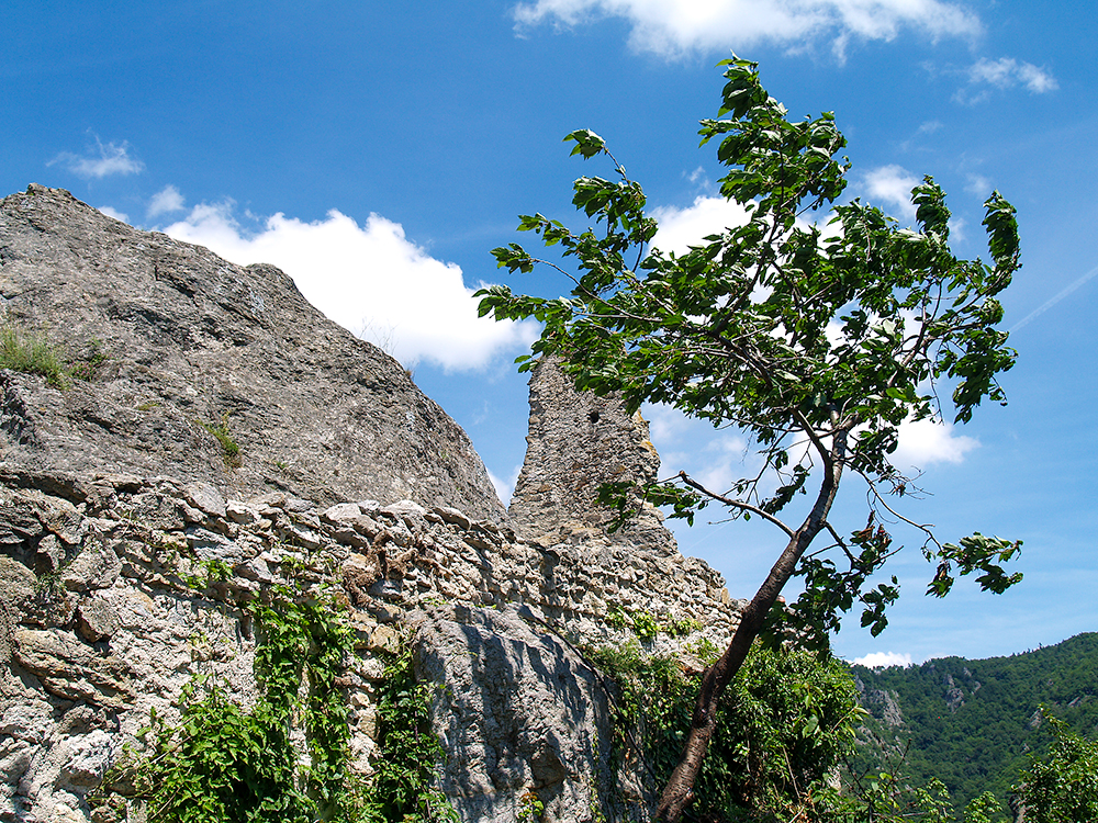 Dürnstein 