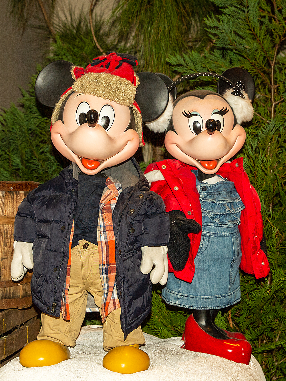 Mickey Minnie Winter