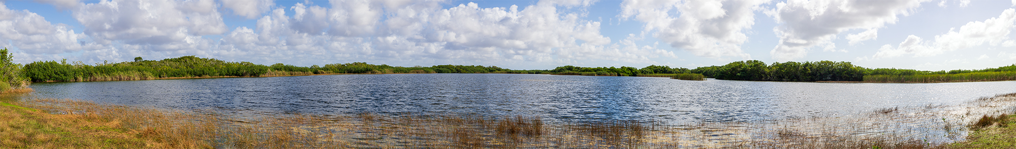 Pond Pano