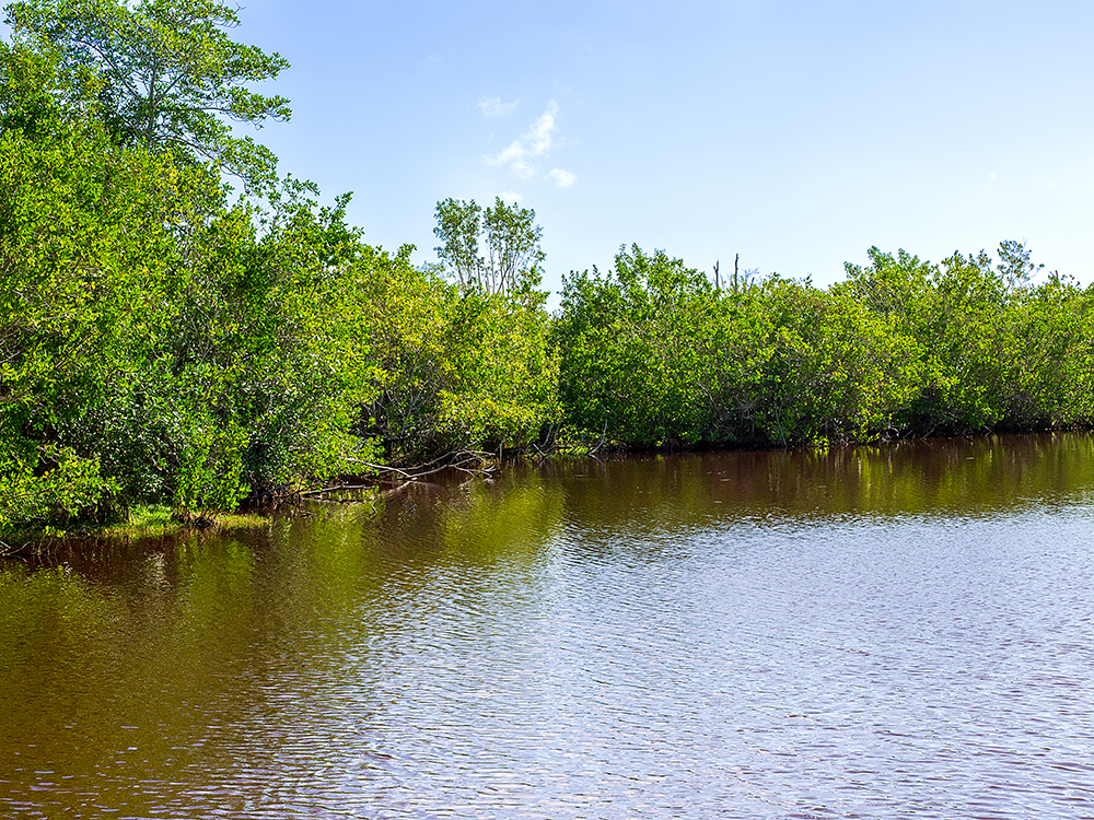 Mrazek Pond