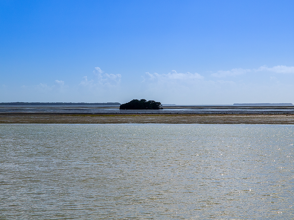 Florida Bay