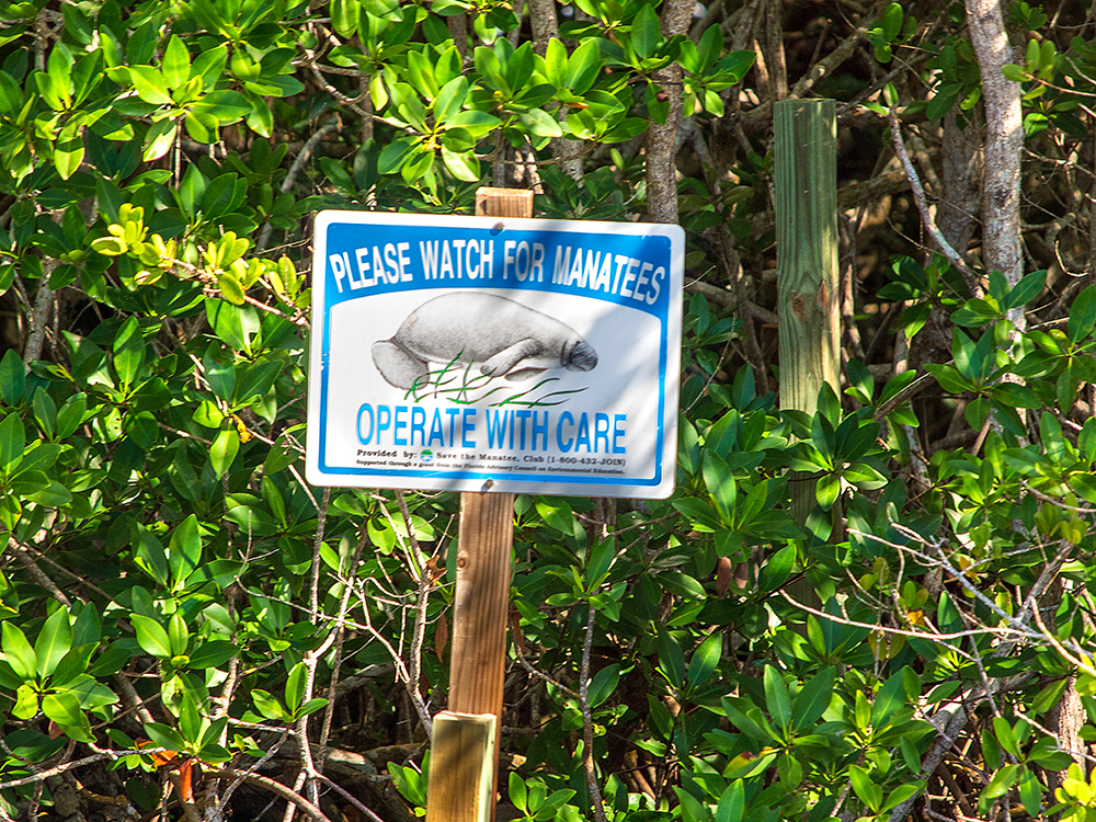 Manatee Sign