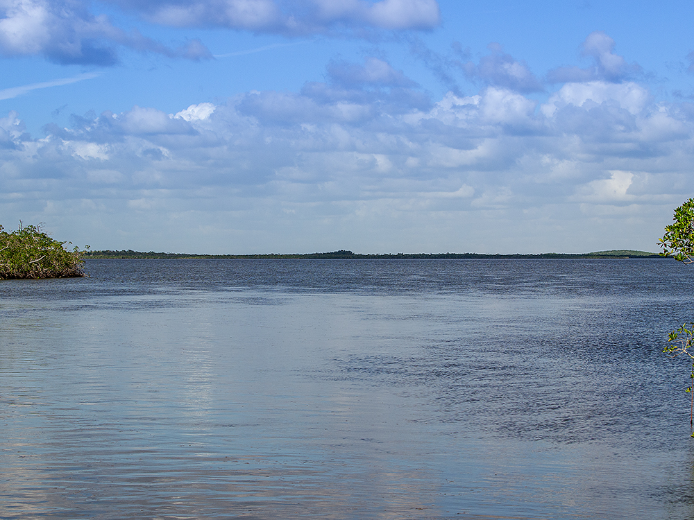 Florida Bay