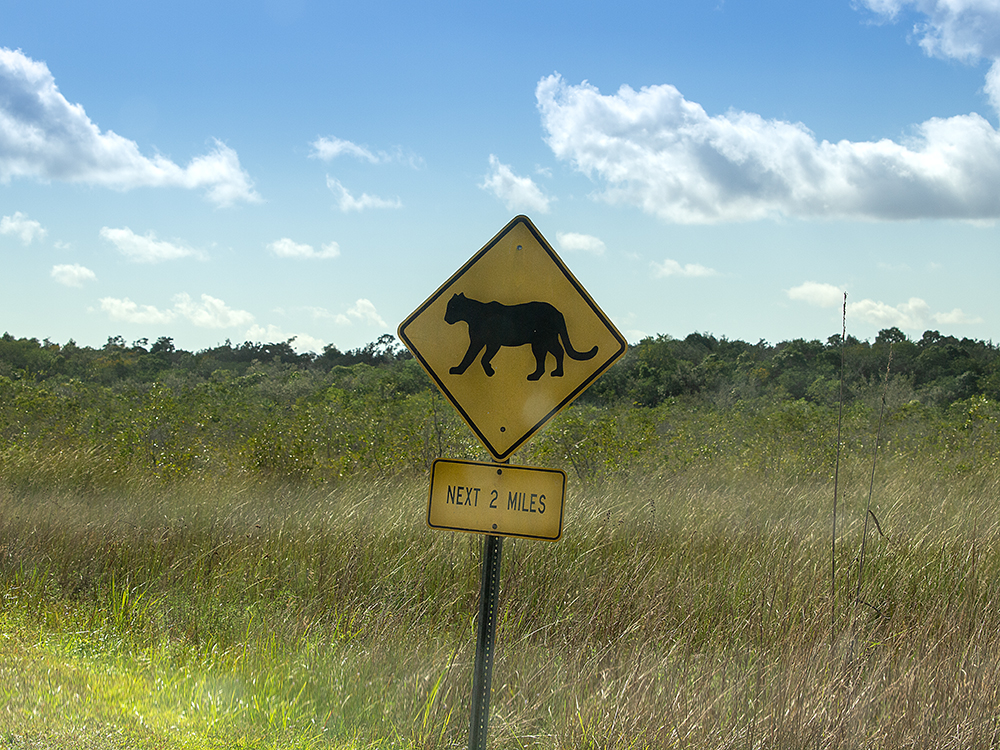 Puma Sign