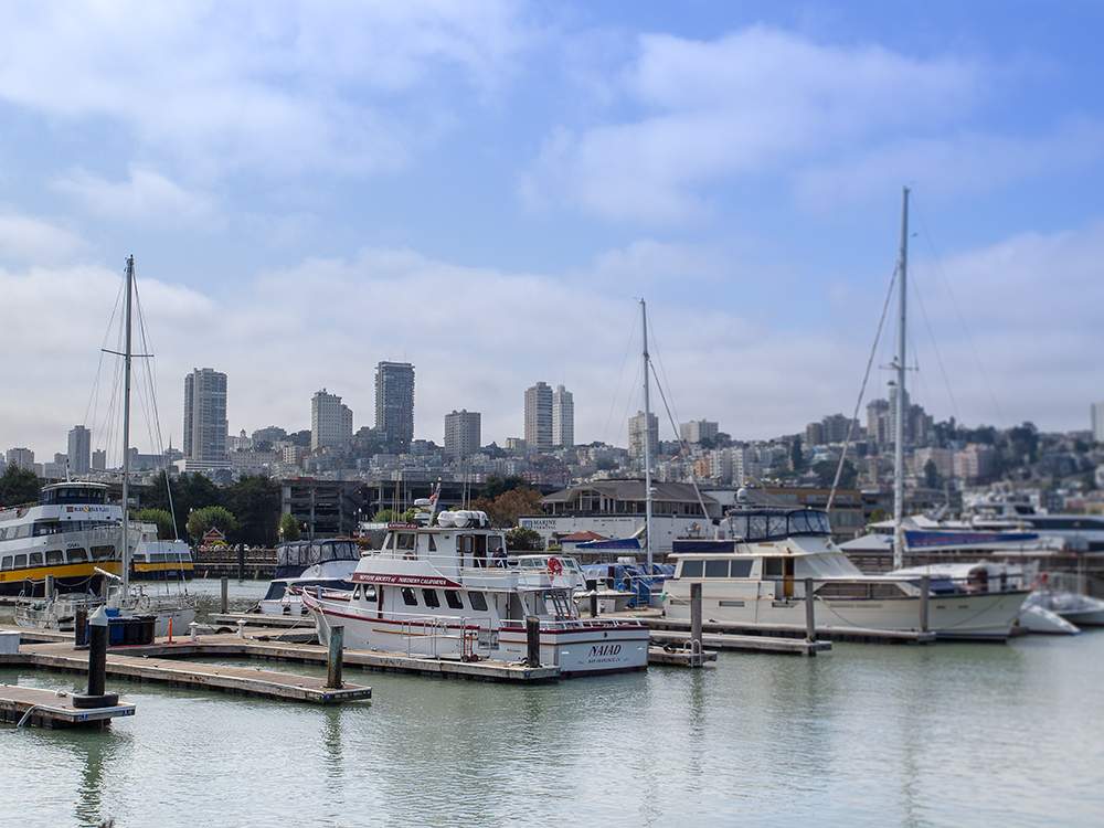 Harbour Overview