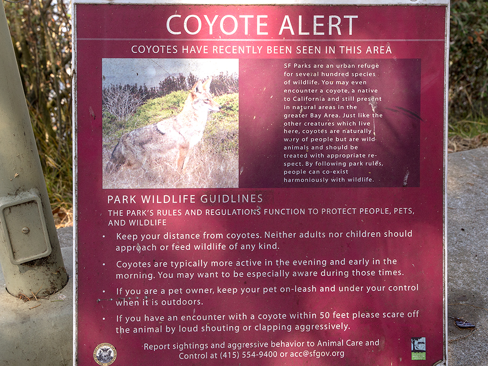 Coyote Sign