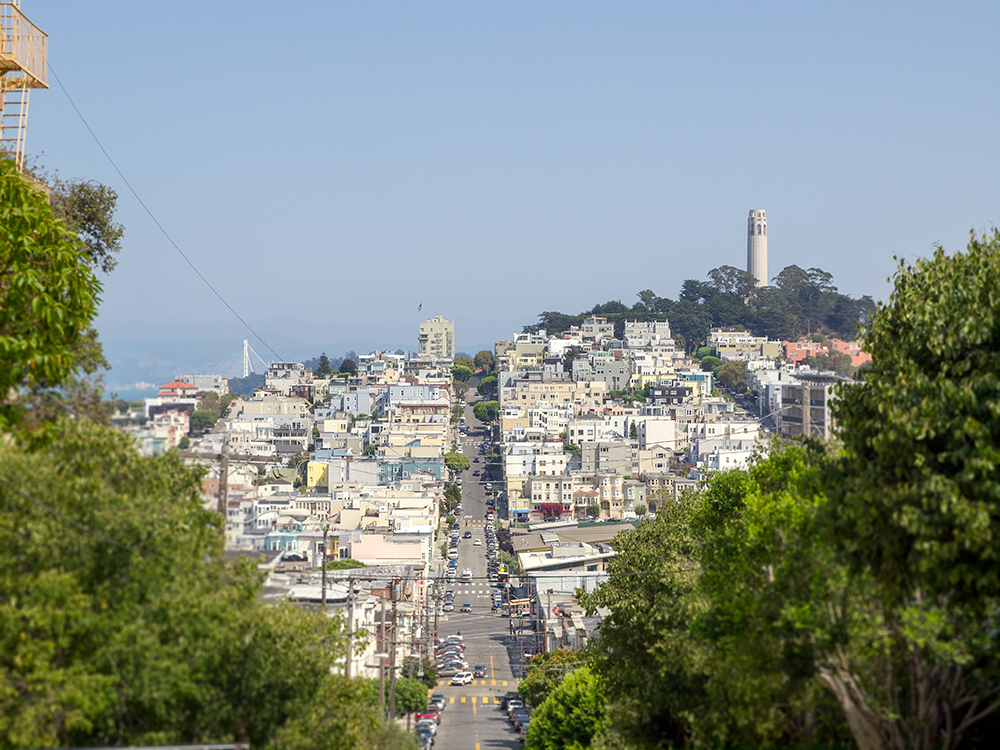 Telegraph Hill