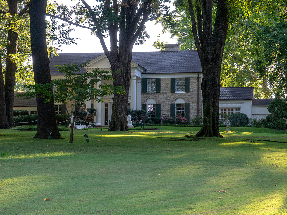 Mansion Trees