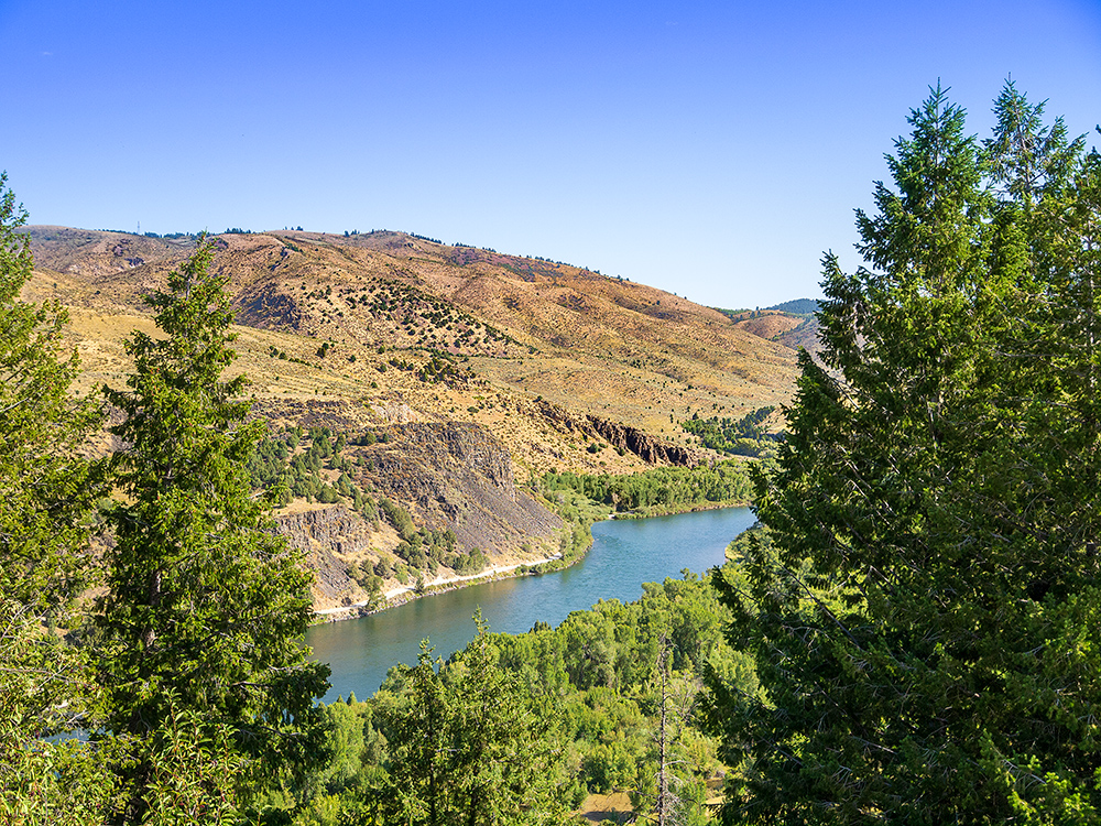 Idaho