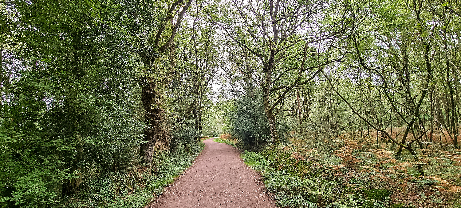 Broceliande