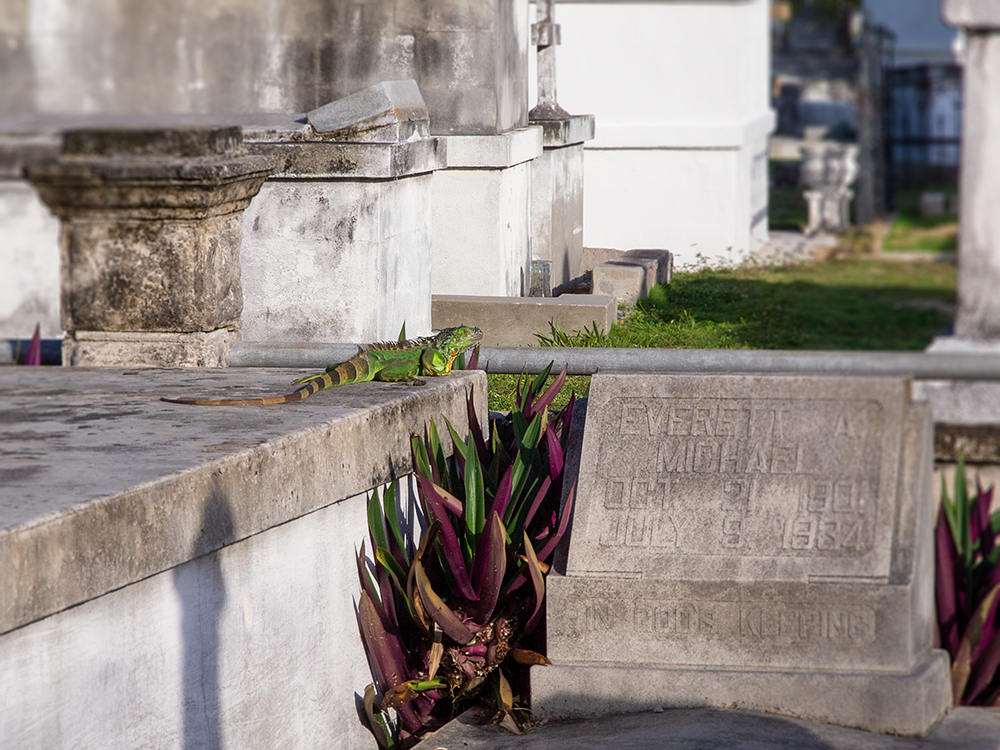  KW Cemetery
