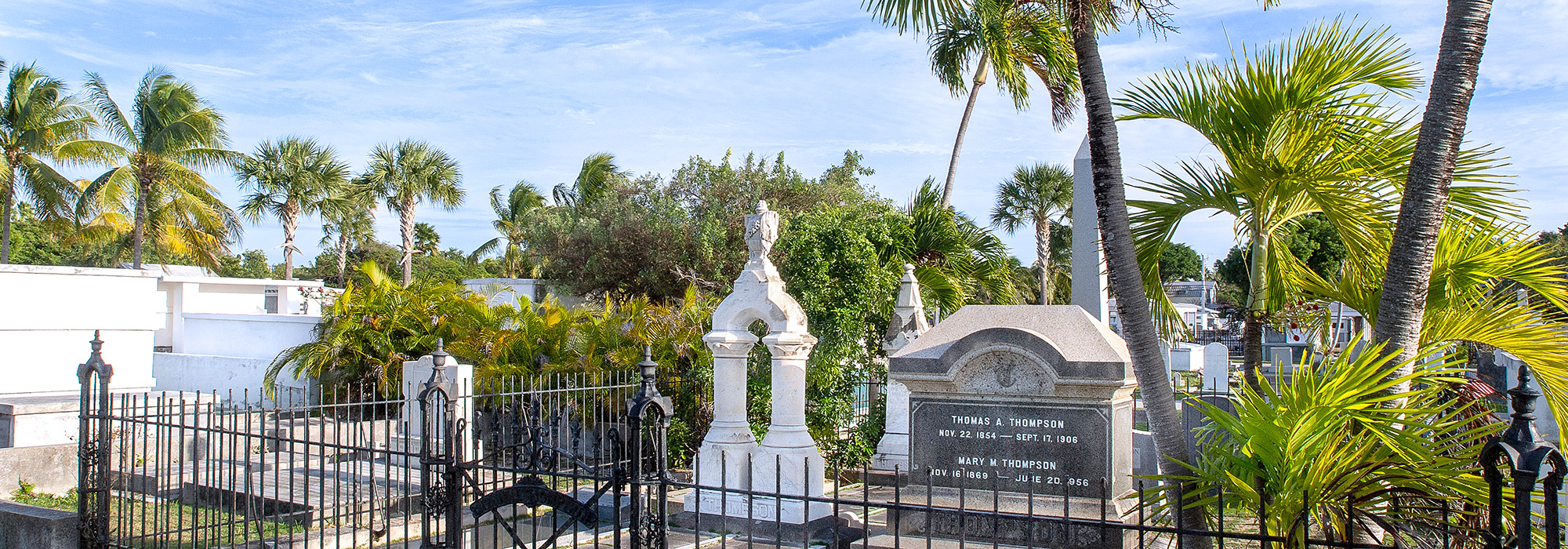 Overview