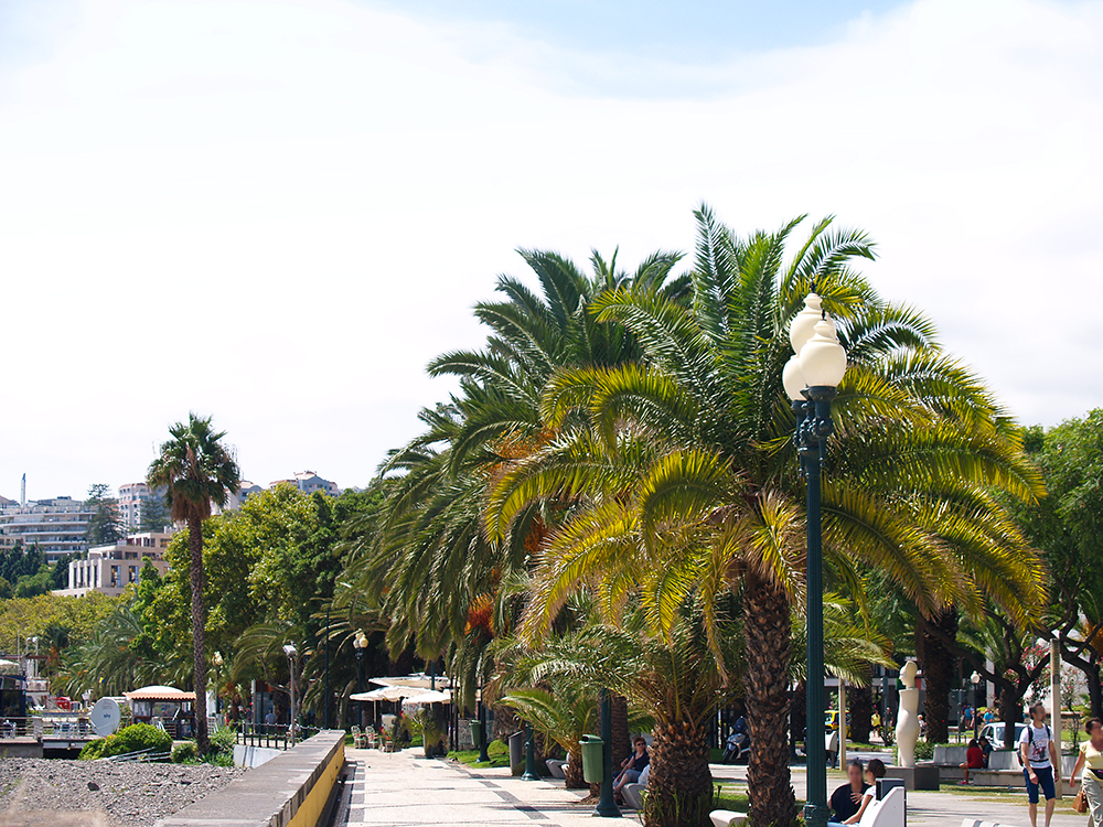 Funchal