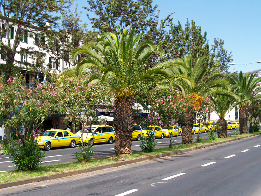 Funchal