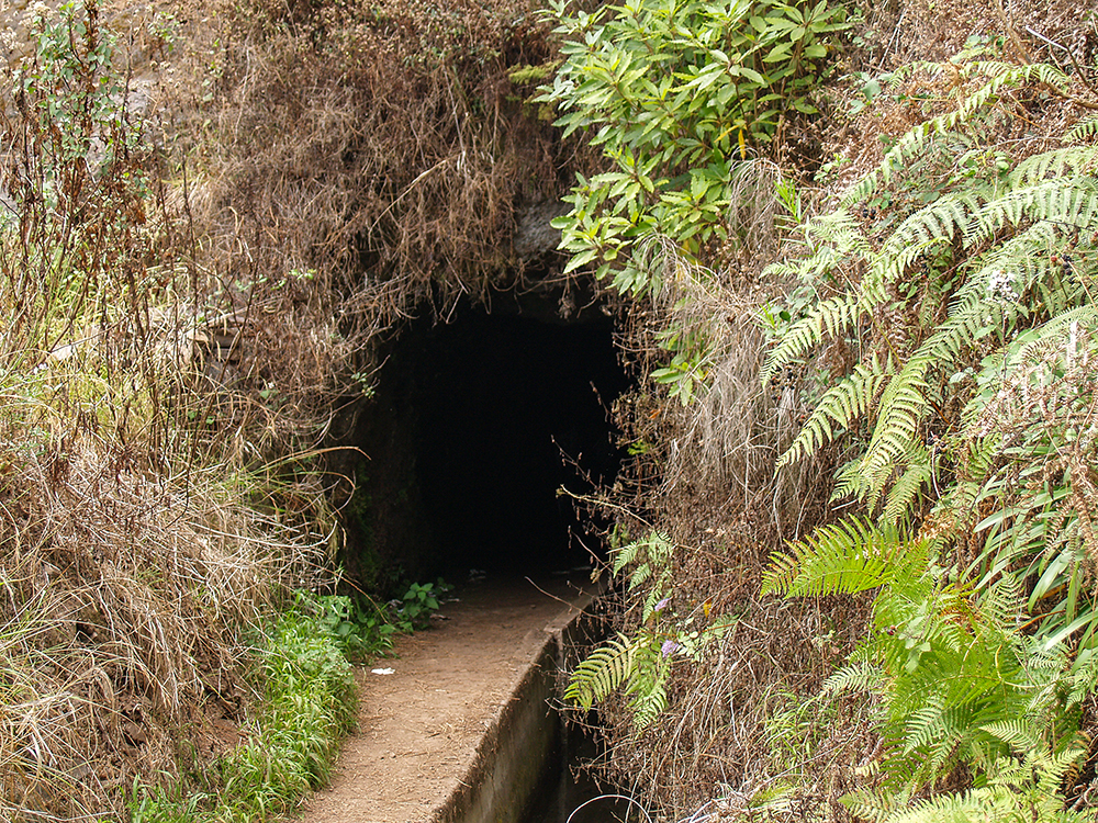 Levada