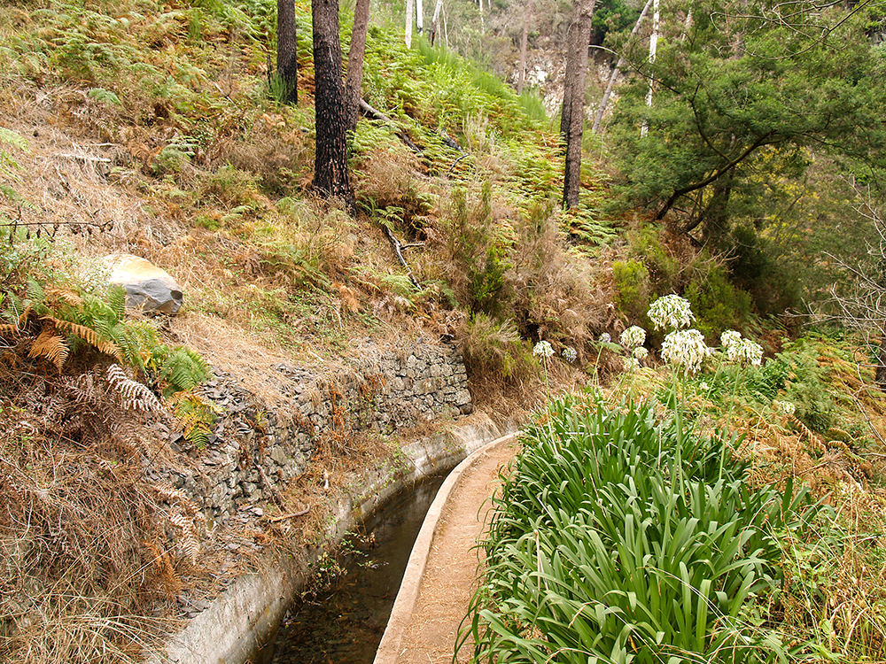 Levada