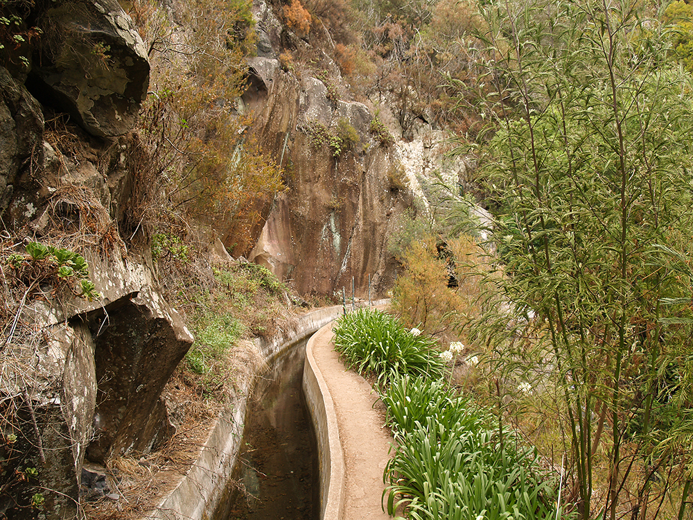 Levada