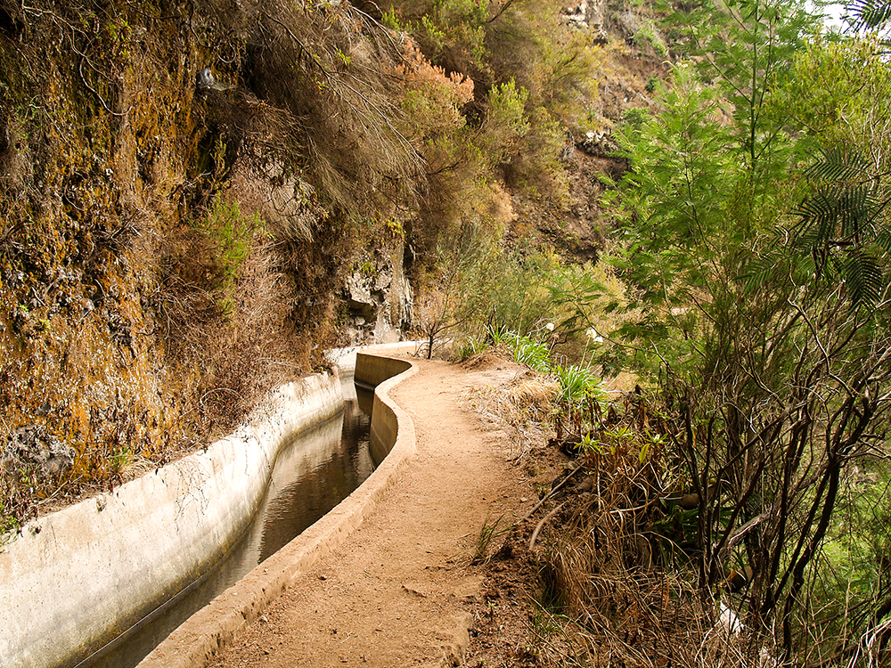 Levada