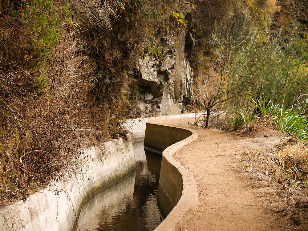 Levada