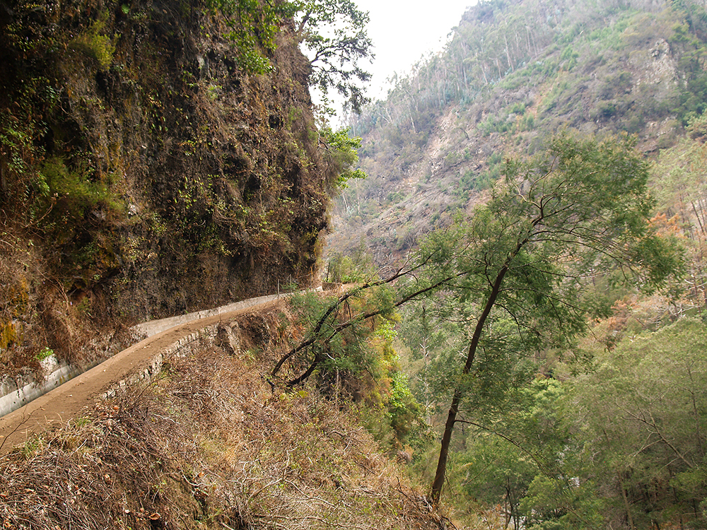 Levada