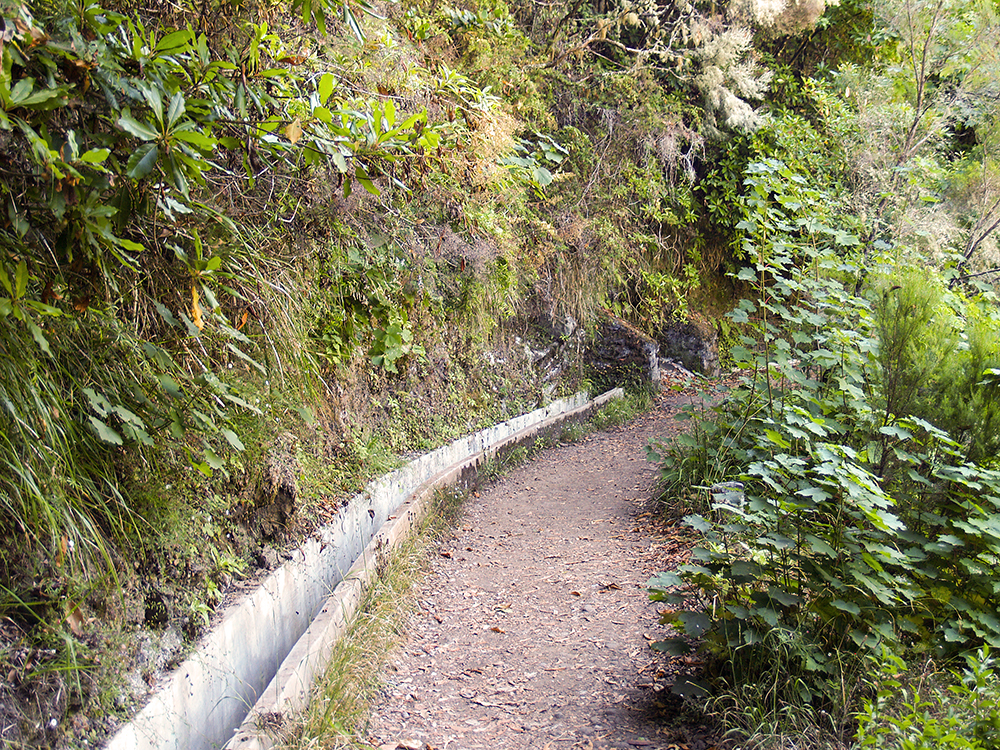 Levada