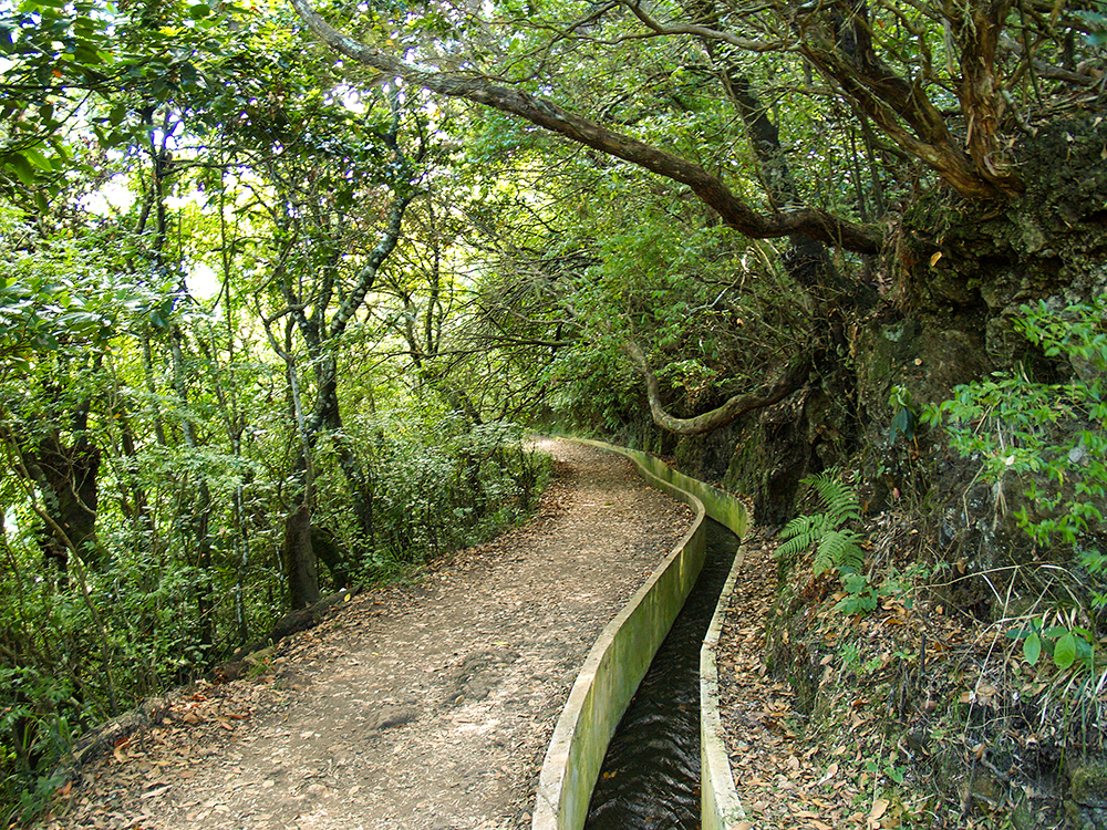 Levada