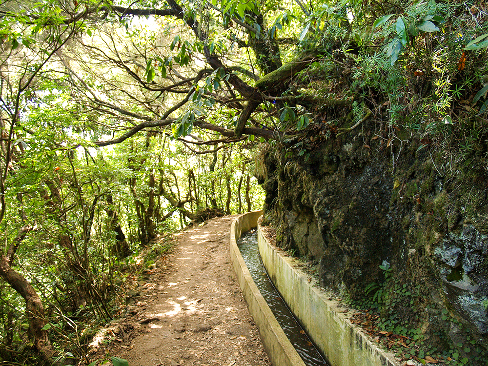 Levada