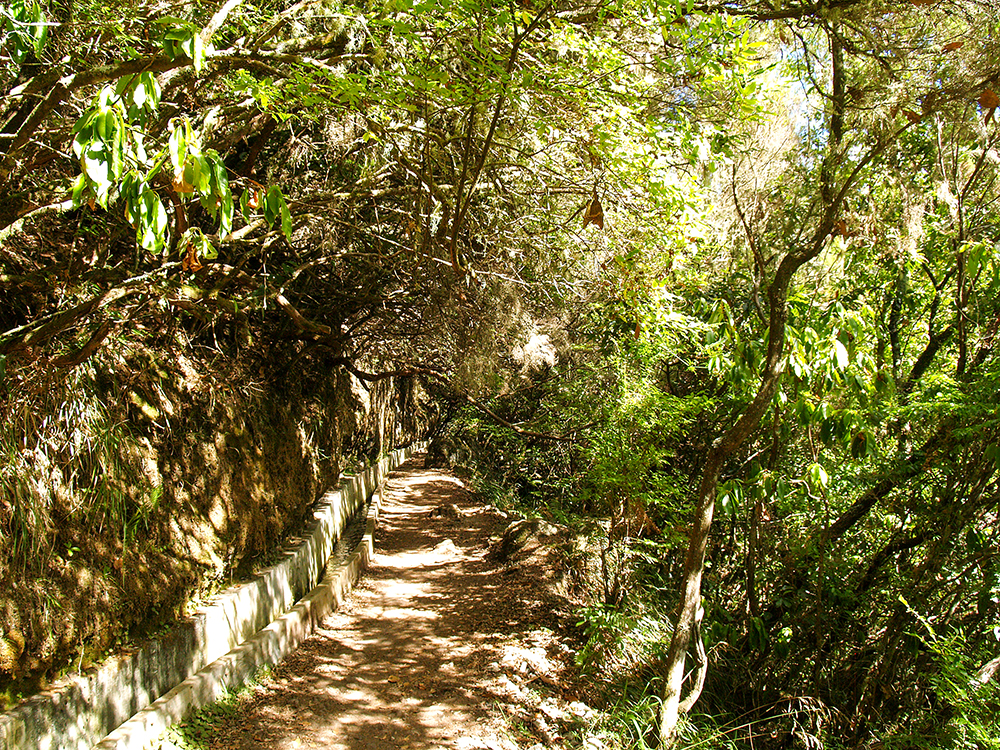 Levada