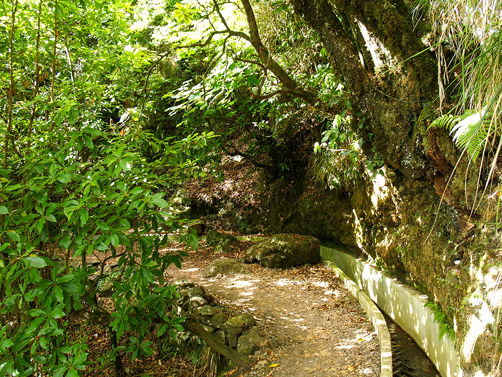 Levada