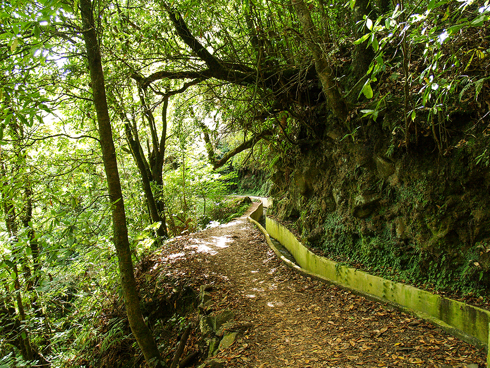 Levada