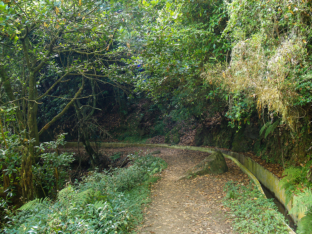 Levada