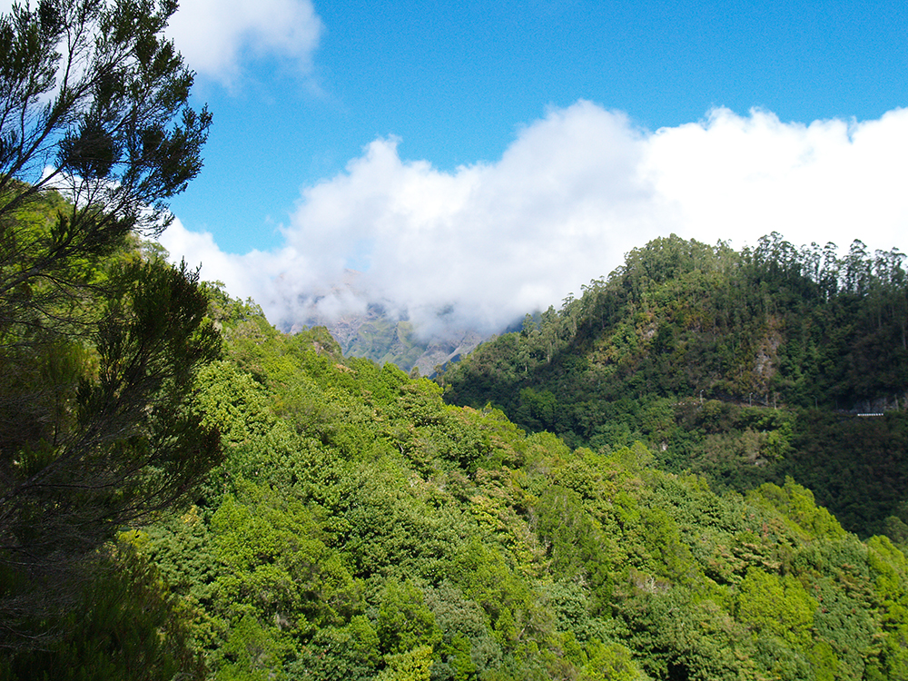 Levada Ausblick