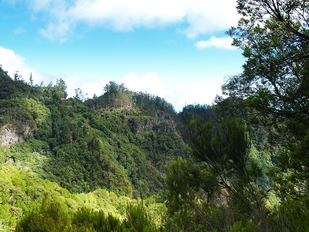 Levada Ausblick