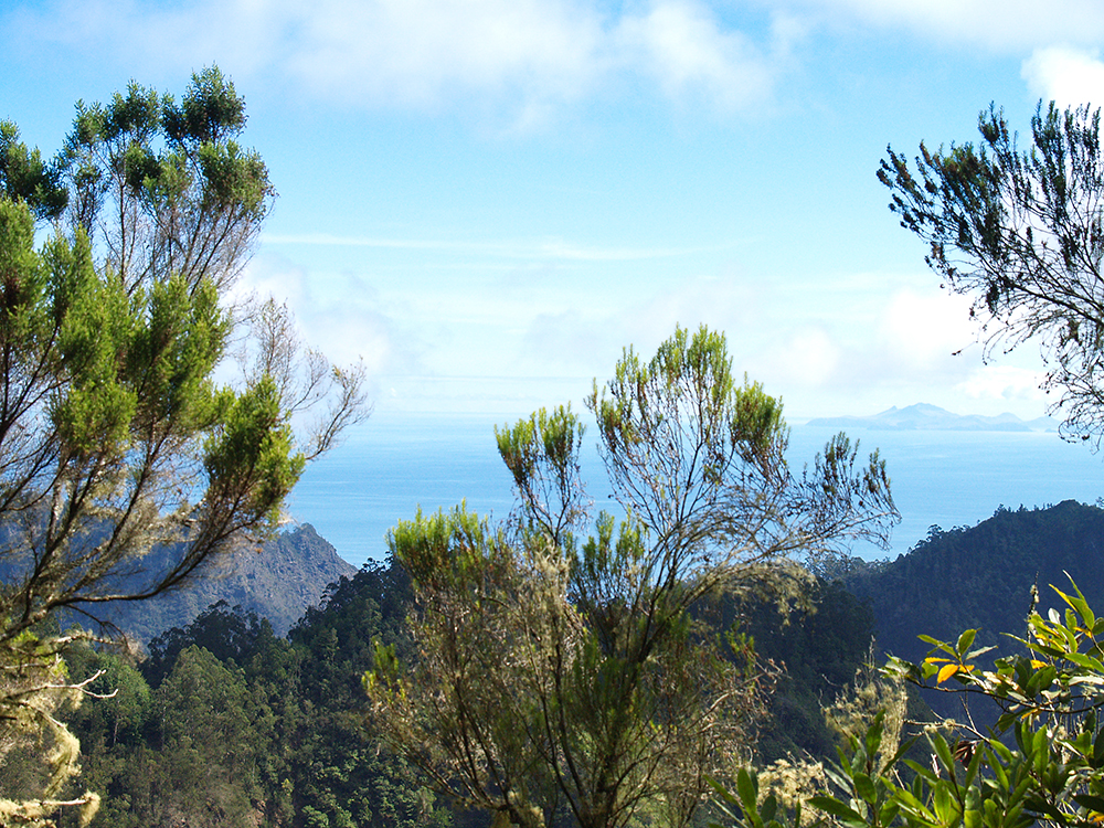 Levada Ausblick