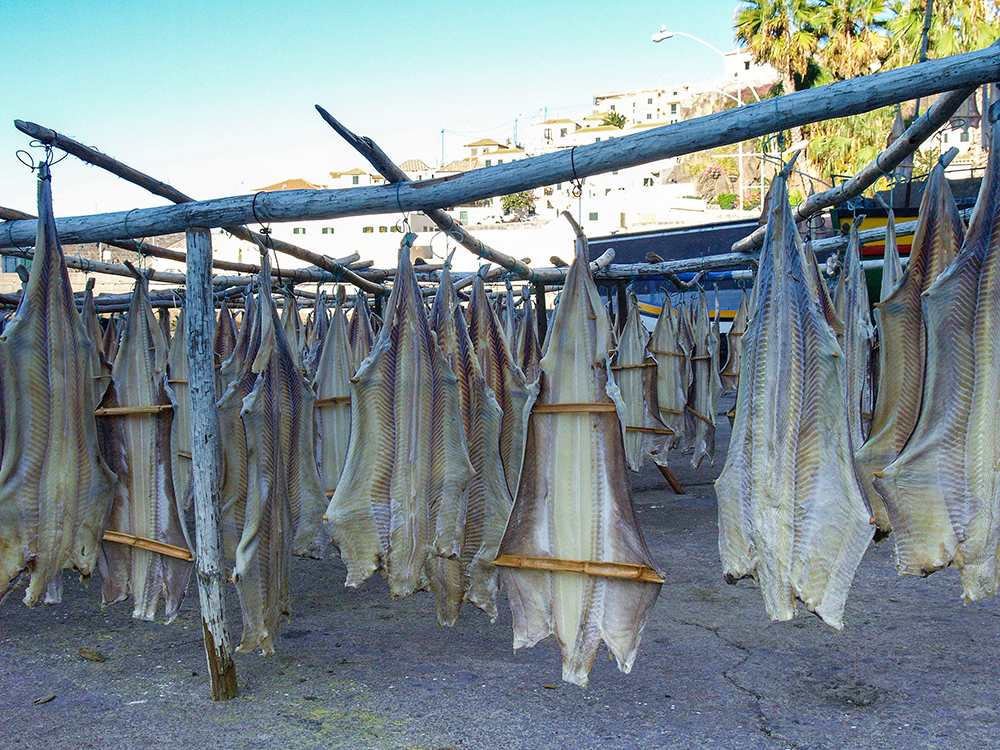 Bacalhau