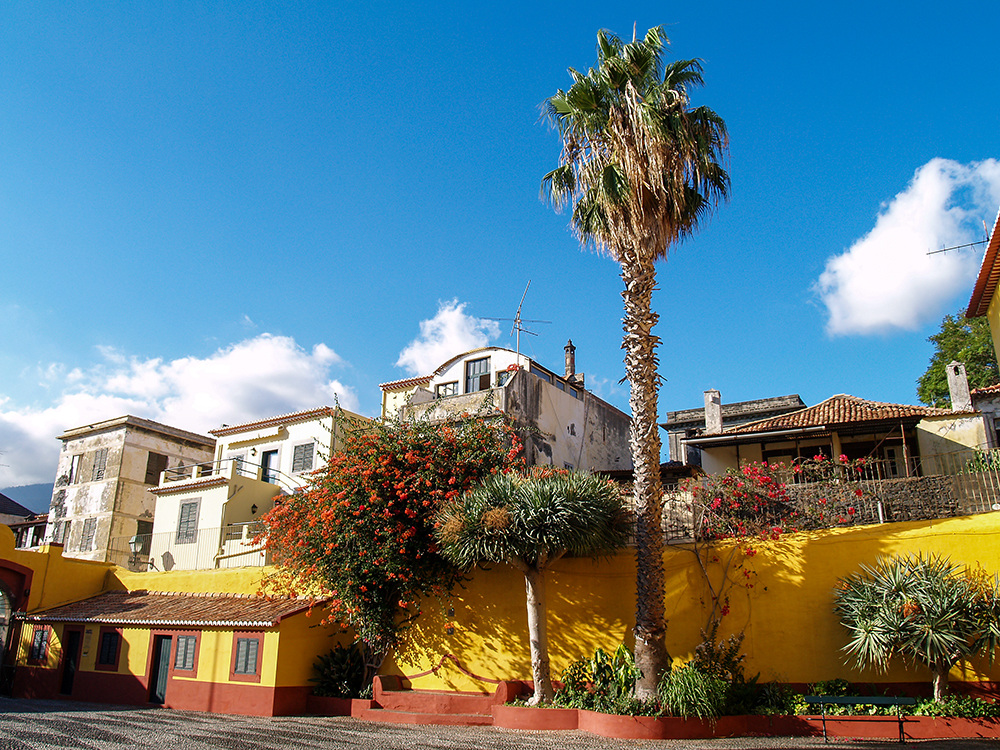 Funchal Hauszeile