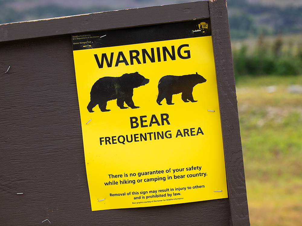 Bear Sign