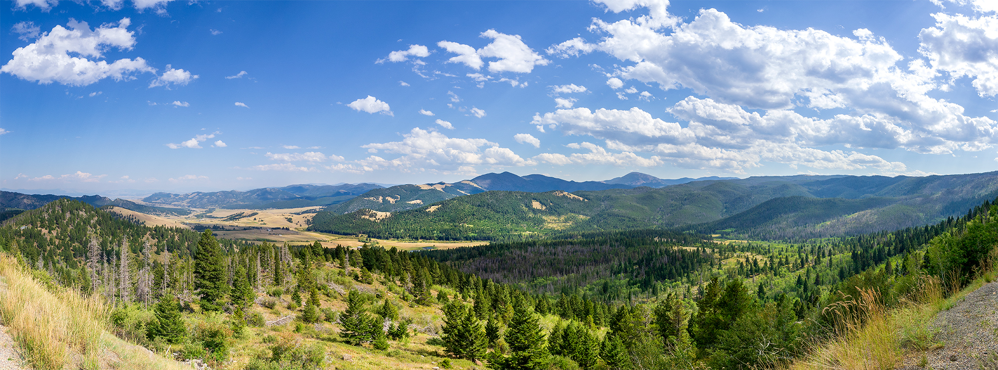 Overview Montana