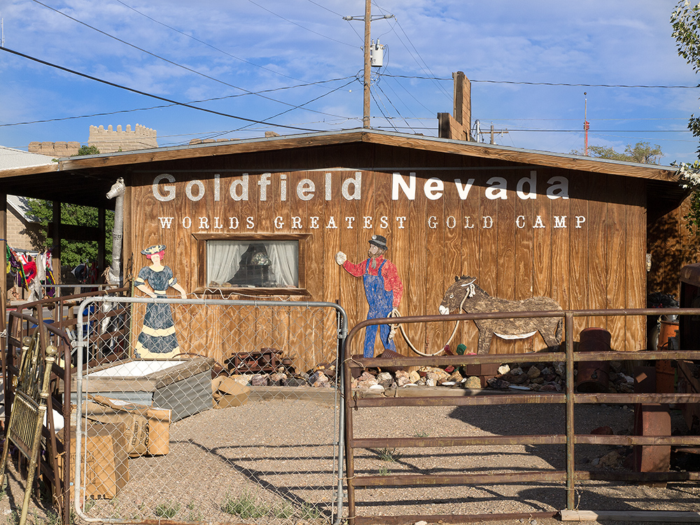 Goldfield