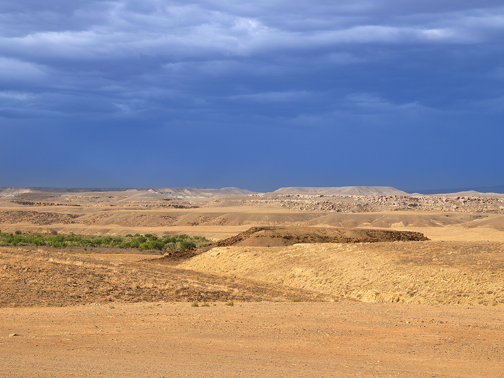 Overview NM