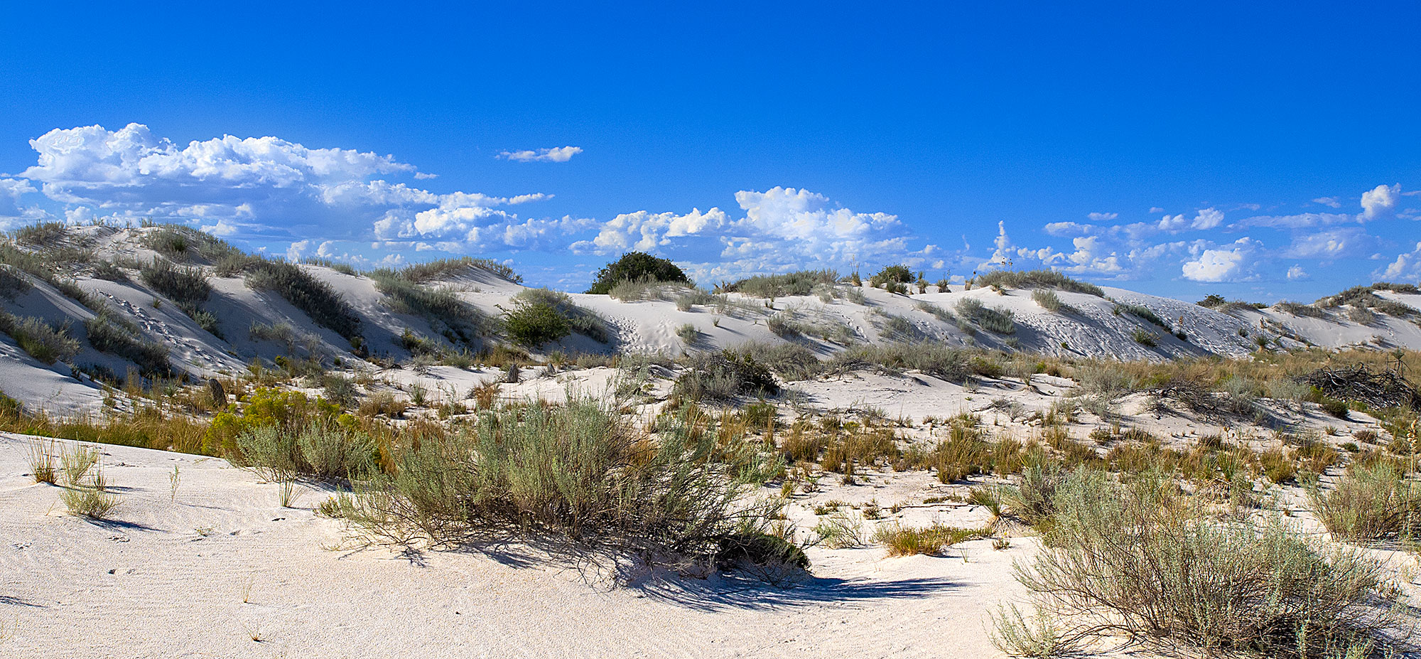 White Sands Pano