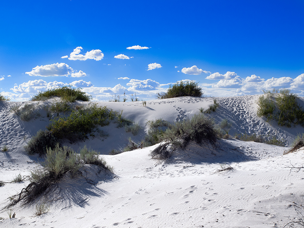 White Sands