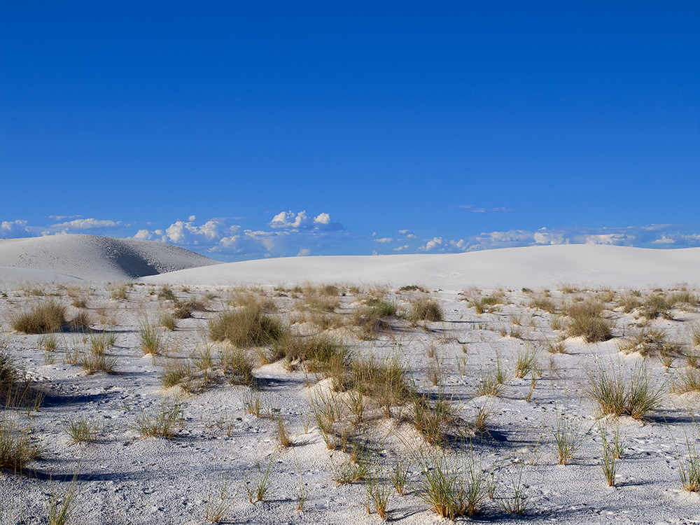 White Sands