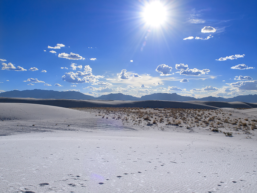 White Sands Sun